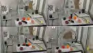 Robot arm visually identifying and grasping colored fruit in the paper’s laboratory experiment.